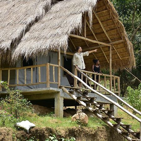 Ella Jungle Resort Eksteriør bilde
