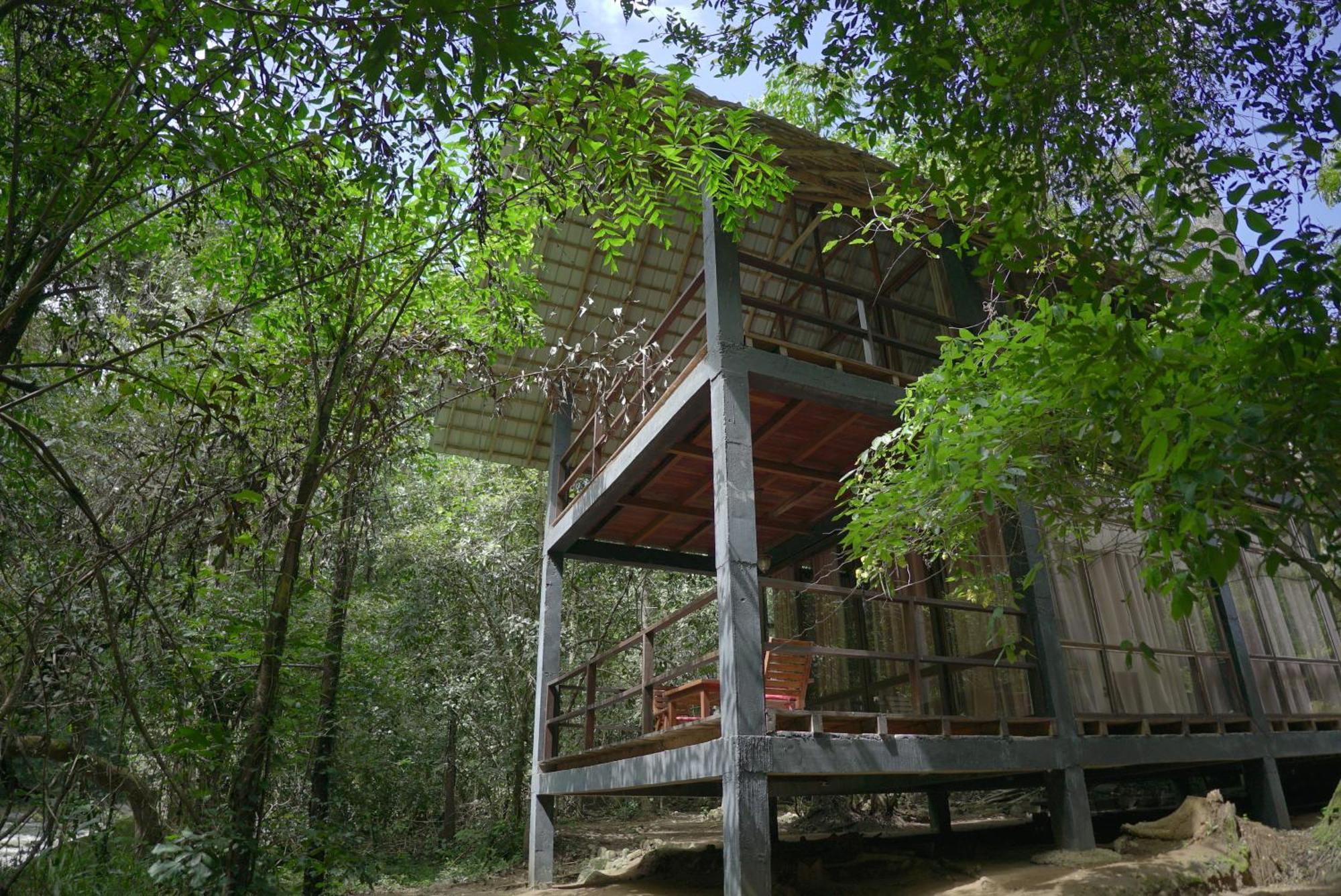 Ella Jungle Resort Eksteriør bilde