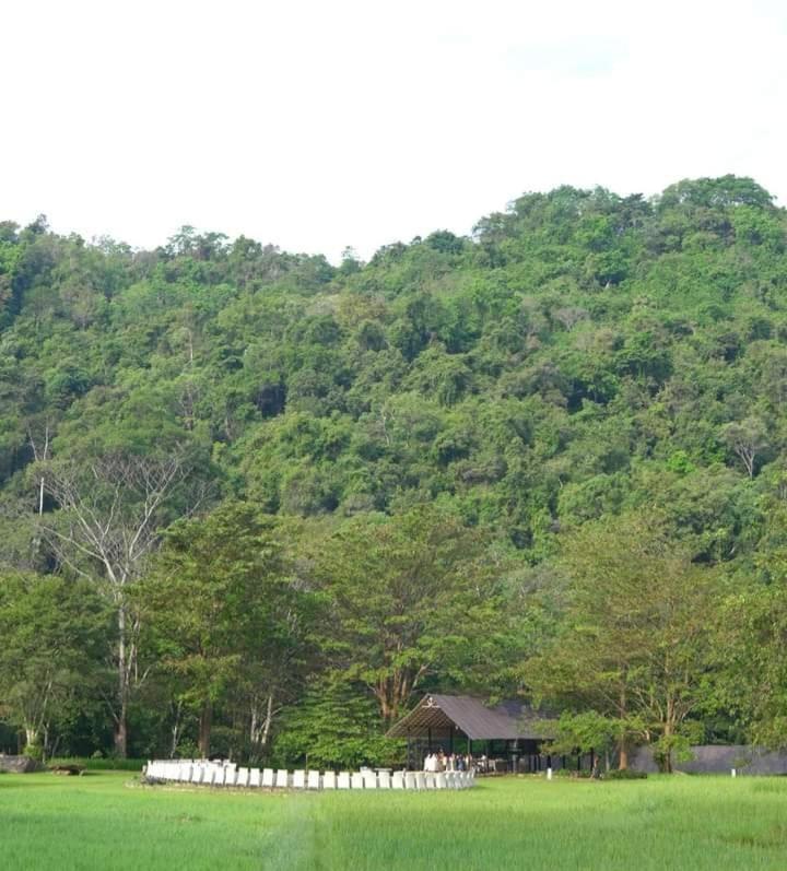 Ella Jungle Resort Eksteriør bilde