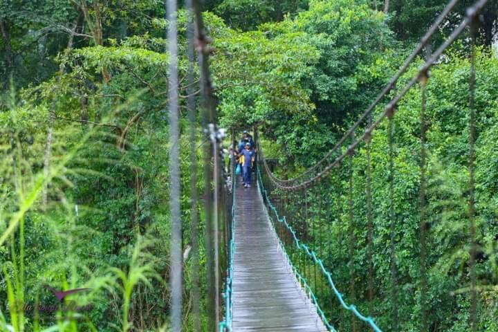 Ella Jungle Resort Eksteriør bilde