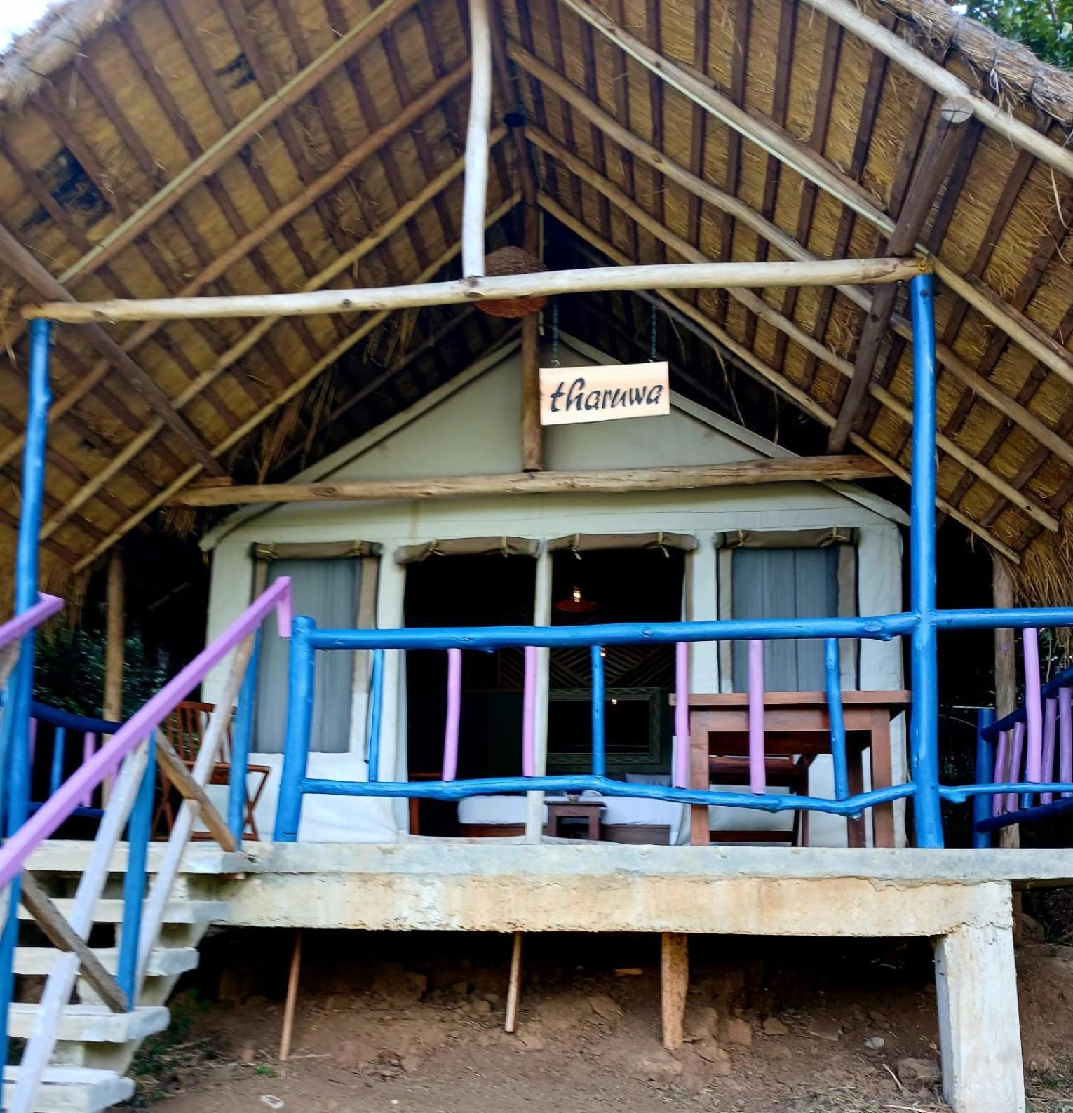 Ella Jungle Resort Rom bilde