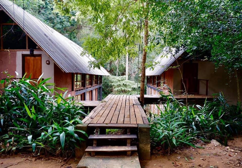 Ella Jungle Resort Rom bilde