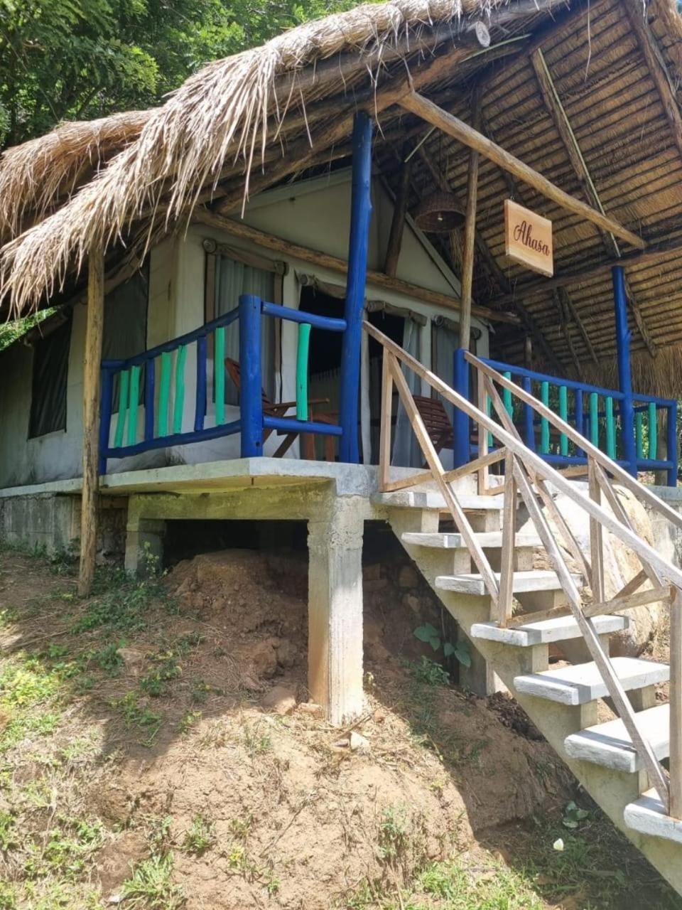 Ella Jungle Resort Rom bilde