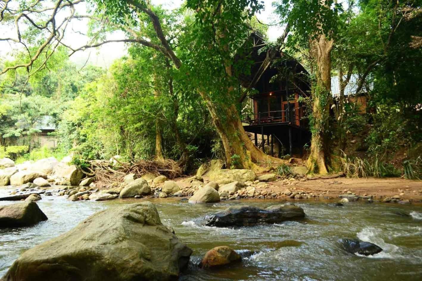 Ella Jungle Resort Rom bilde