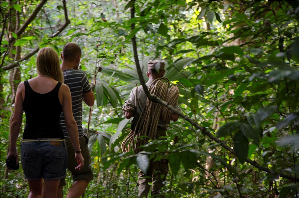 Ella Jungle Resort Eksteriør bilde