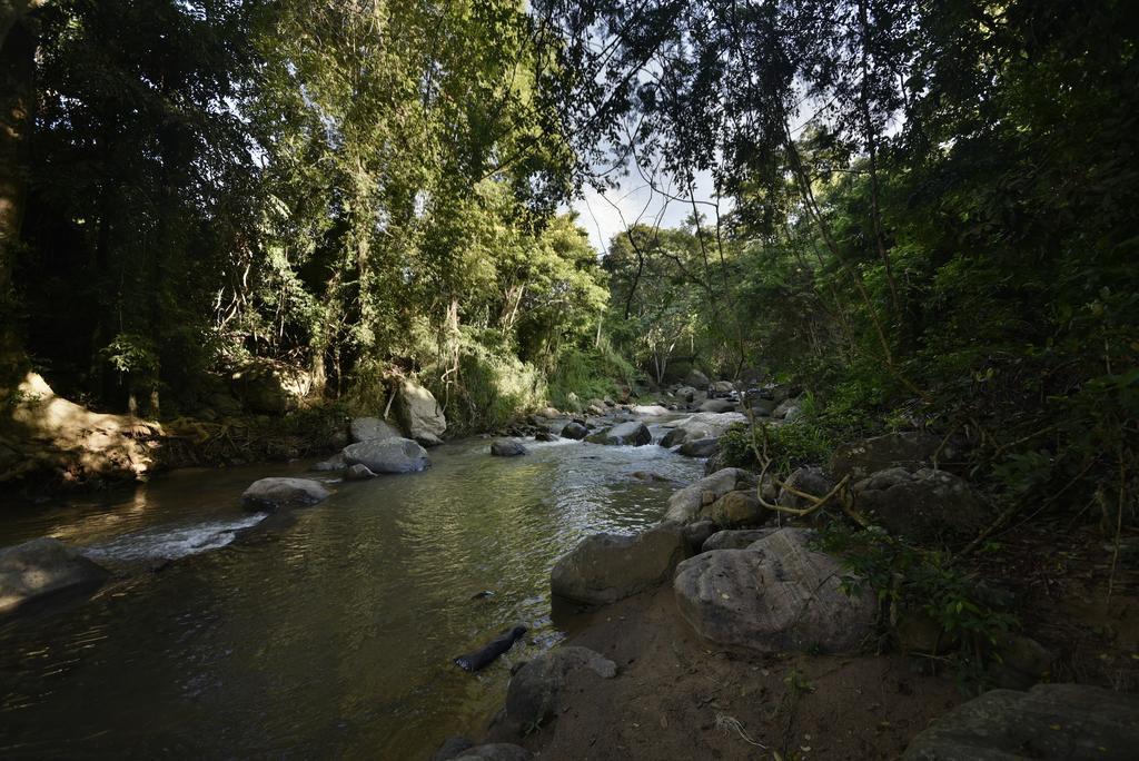 Ella Jungle Resort Eksteriør bilde