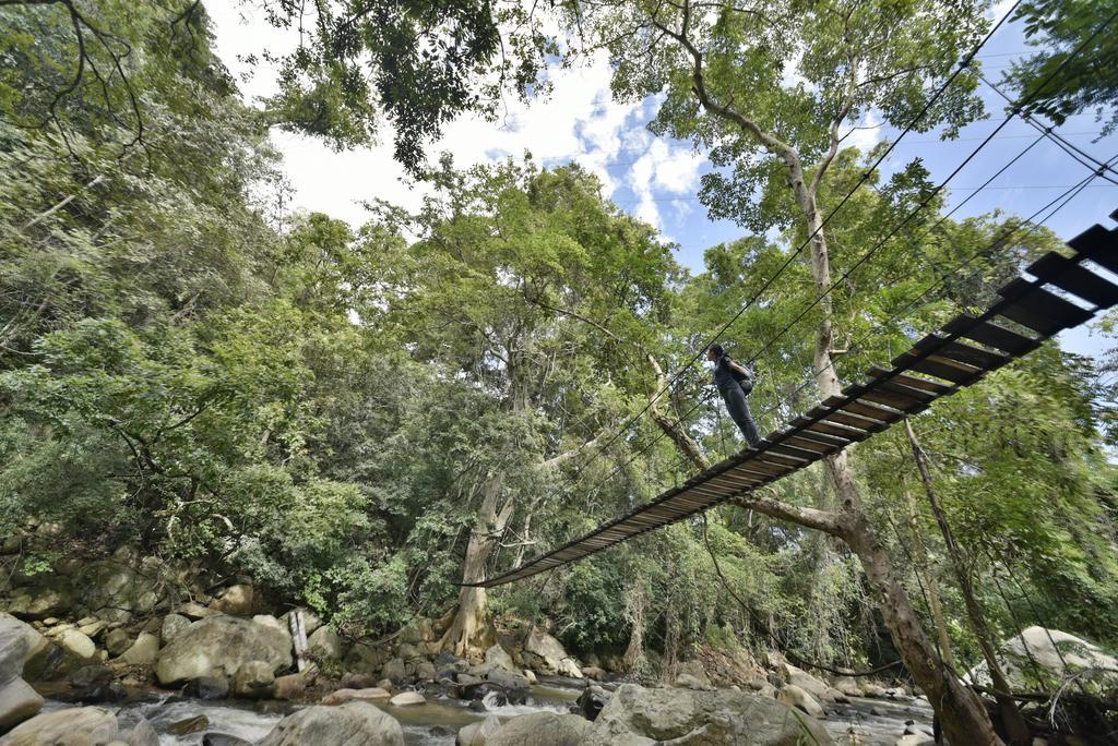 Ella Jungle Resort Eksteriør bilde