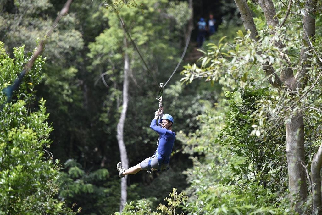 Ella Jungle Resort Eksteriør bilde